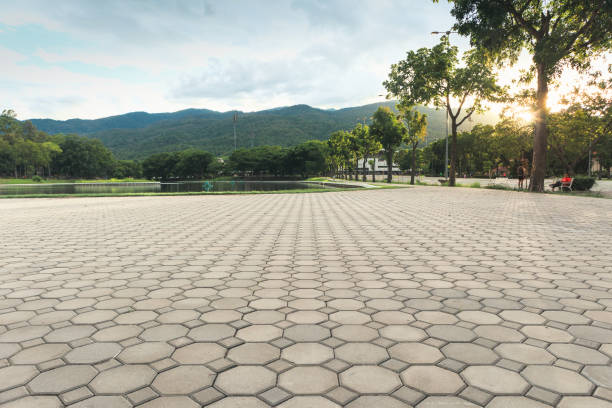 Best Permeable Paver Driveway  in Franklin, VA
